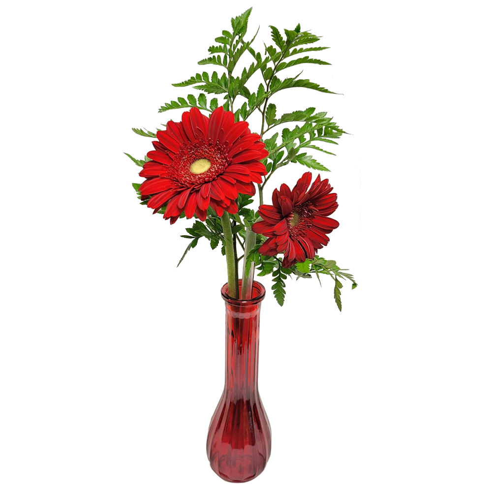 Fresh Flowers in Vase