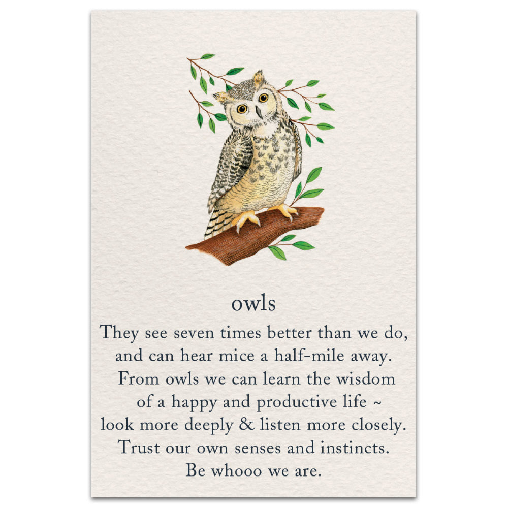 Birthday Card: Owls