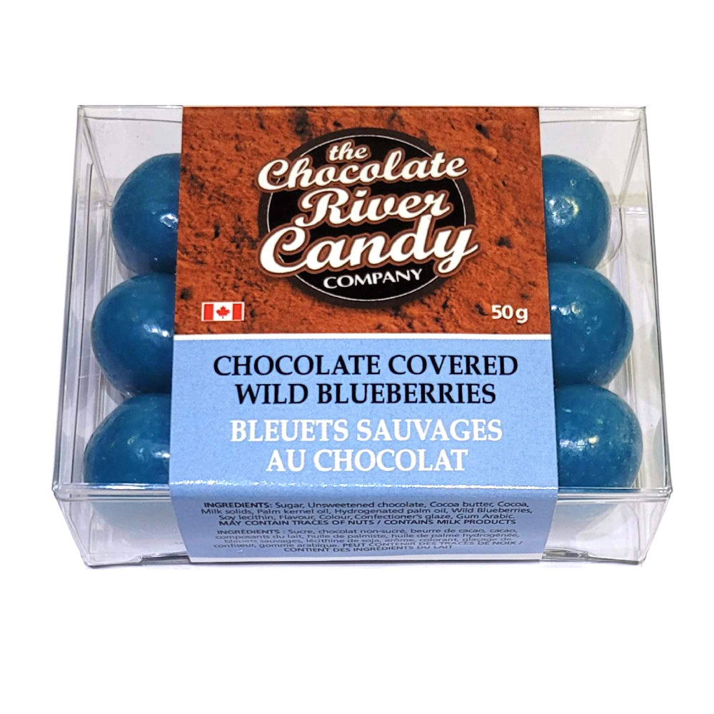 Chocolate Covered Wild Blueberries (50g)