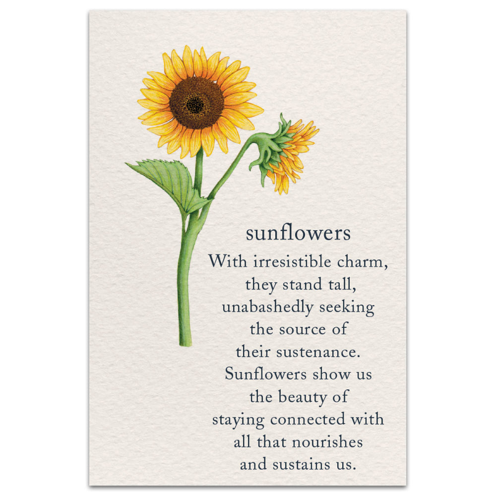 Birthday Card: Sunflowers