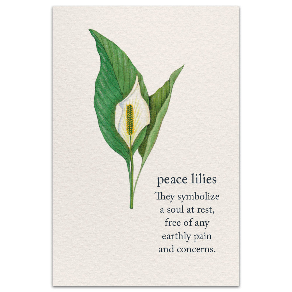 Sympathy Card: Peace Lilies