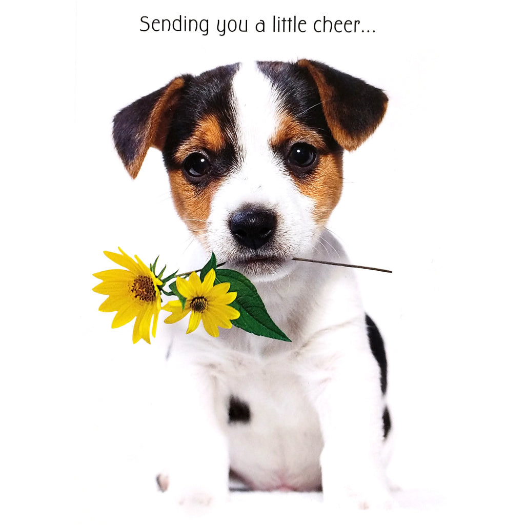 Support & Encouragement Card: Sending You Cheer