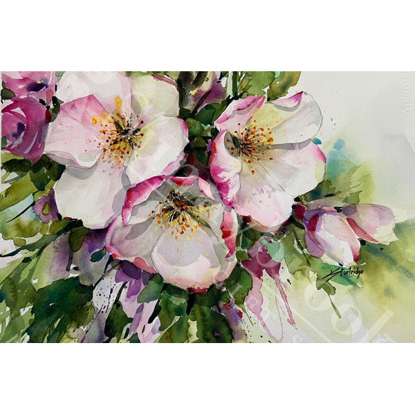 Springtime Blossoms, by Karyn Sturtridge (Bar 10)
